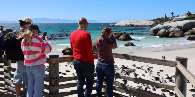 Cape Peninsula & Penguins Beach Half Day Tour From Cape Town - Stops and Attractions