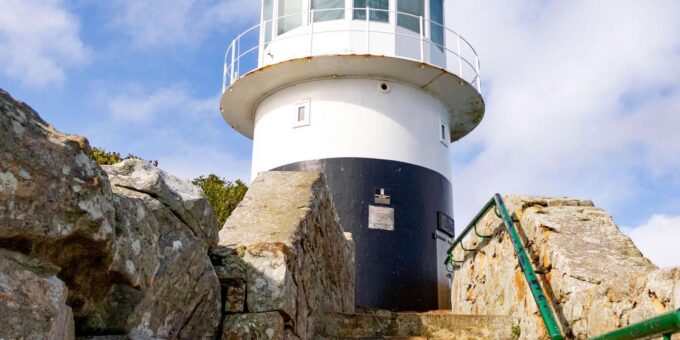 Cape Peninsula: Private Half Day Tour - What to Expect
