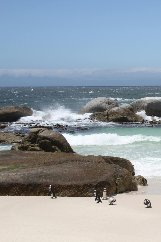 Cape Peninsula Private Tour In Cape Town South Africa - Tour Details
