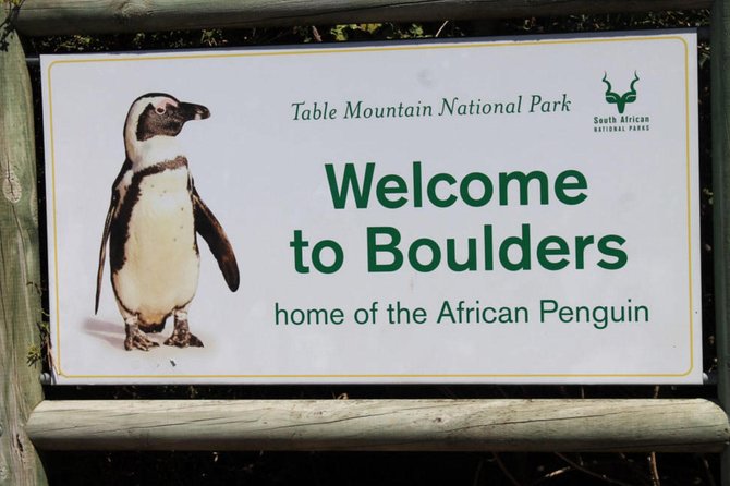 Cape Point Explore With Boulders Penguins Small Group Day Tour - Itinerary Highlights
