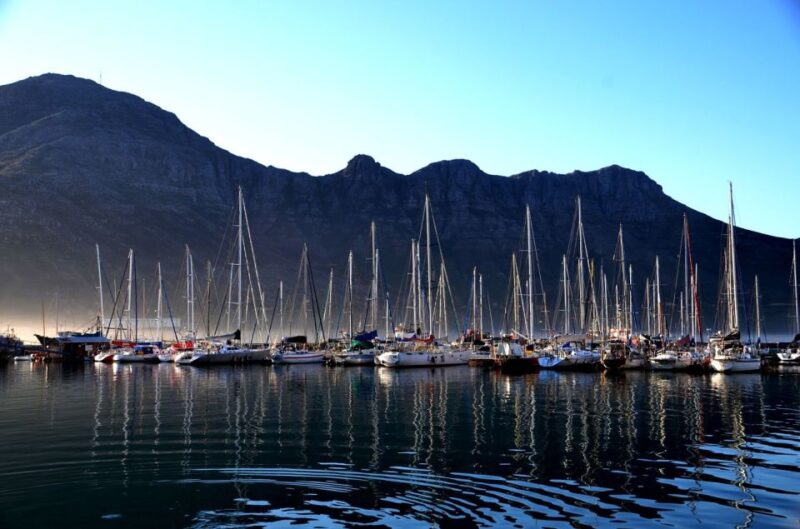 Cape Point Full-Day Tour From Cape Town - Itinerary Highlights