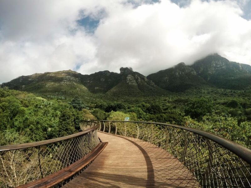 Cape Point Full-Day Tour From Cape Town - Customer Reviews and Ratings