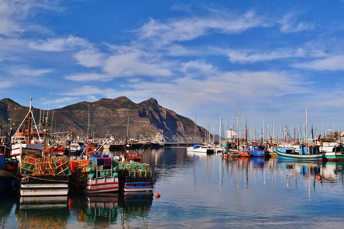 Cape Point Peninsula Tour | Travel Buddies