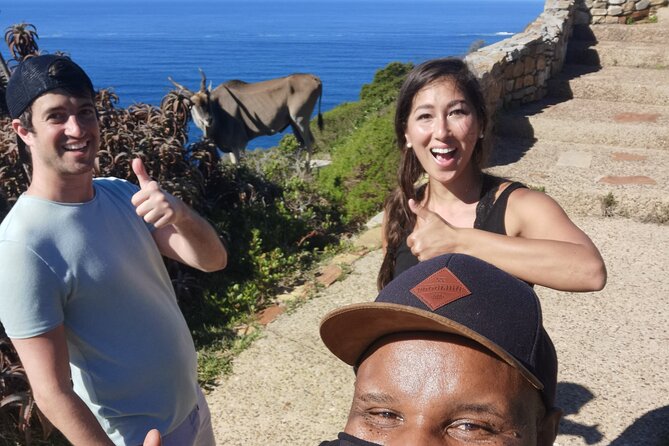 Cape Point Xplorer - Pricing and Booking Details