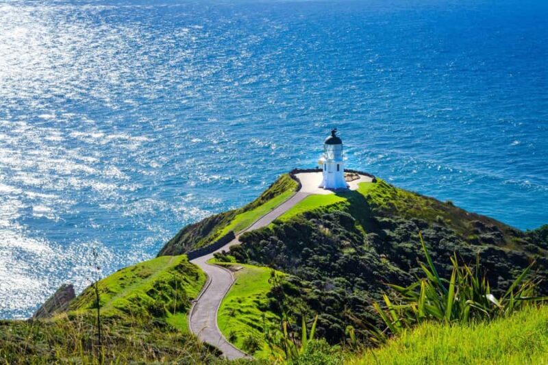 Cape Reinga: Day Trip from Paihia, Kerikeri, or Kaitaia - An In-Depth Look at the Tour Experience