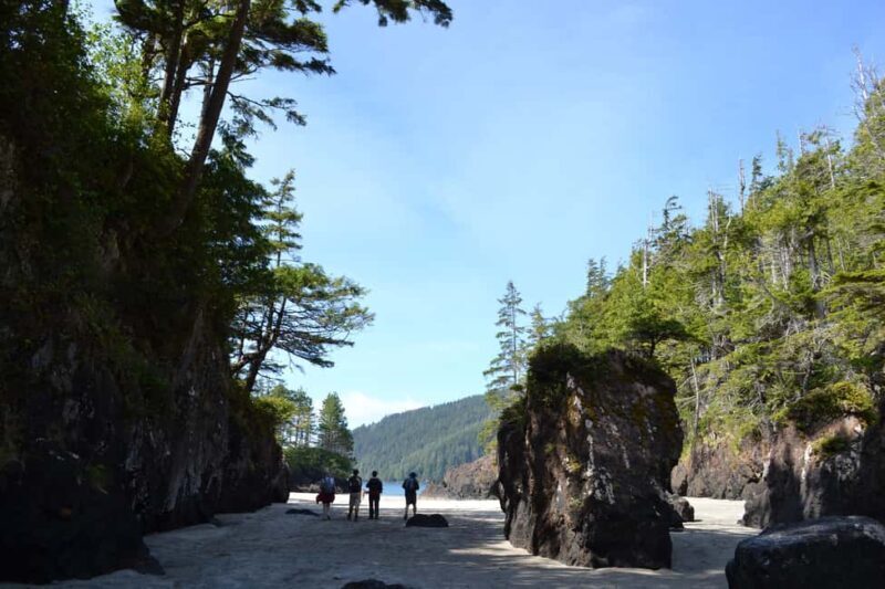 Cape Scott: San Josef Bay Day Hike with Scenic Drive - Key Points