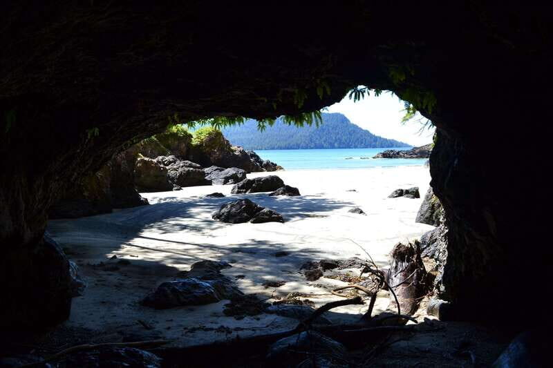 Cape Scott: San Josef Bay Day Hike with Scenic Drive - The Scenic Drive and Cultural Heritage