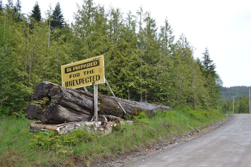 Cape Scott: San Josef Bay Day Hike with Scenic Drive - Reviews Speak for Themselves