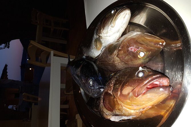 Cape Sounio and Temple of Poseidon Private Trip from Athens - Practical Tips for Visitors