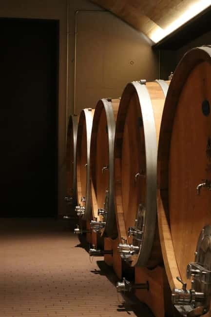 Cape Sounion: Dream Private Wine Tour - Who Would Love This Tour?
