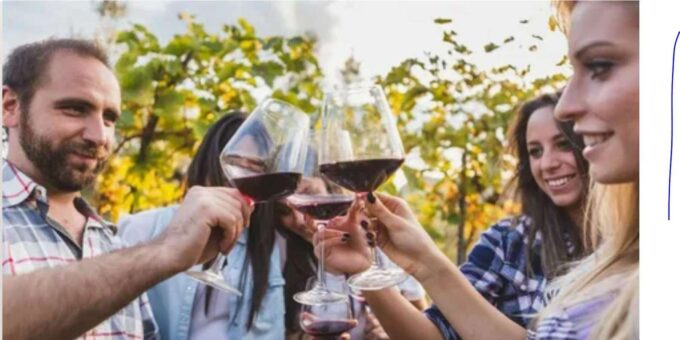 Cape Town 3 Days Private Safari (No Accommodation) - Discovering the Cape Winelands