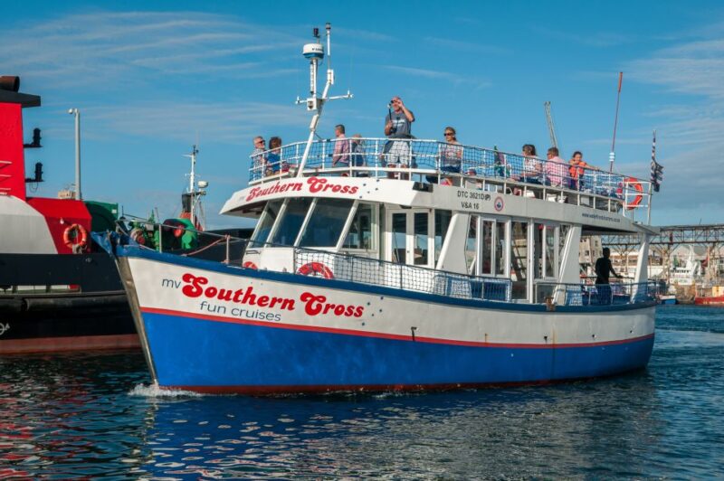 Cape Town: 30 Minute Harbour Boat Cruise With Seal Watching - Good To Know