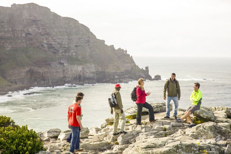 Cape Town: 9-hour Cape Point Private Guided Cycling Tour - Good To Know