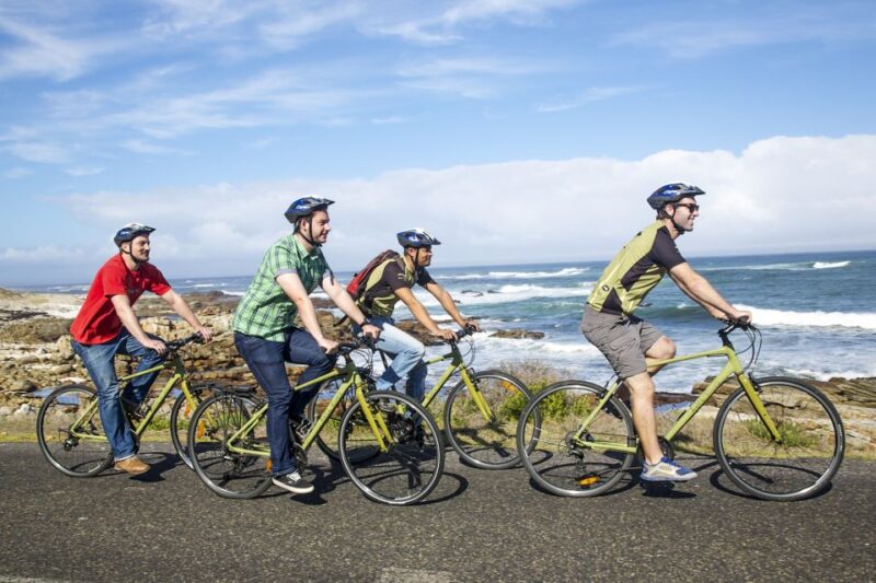 Cape Town: 9-hour Cape Point Private Guided Cycling Tour - Itinerary Highlights