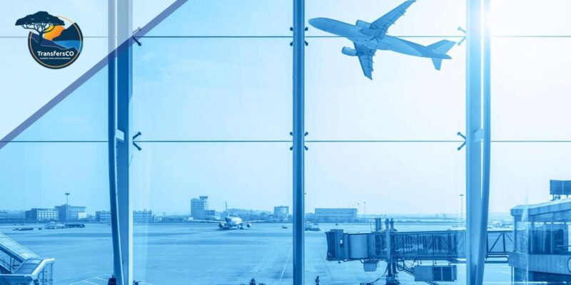 Cape Town Airport Transfer to Stellenbosch - Pickup Experience