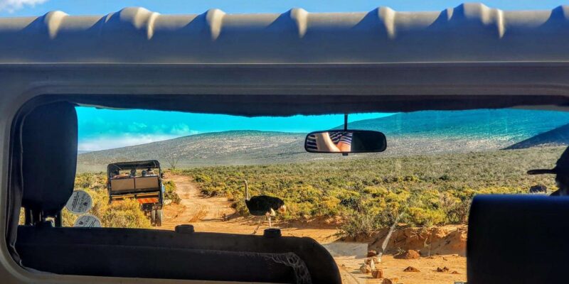 Cape Town: Aquila Reserve Safari With Lunch and Winery Visit - Important Considerations