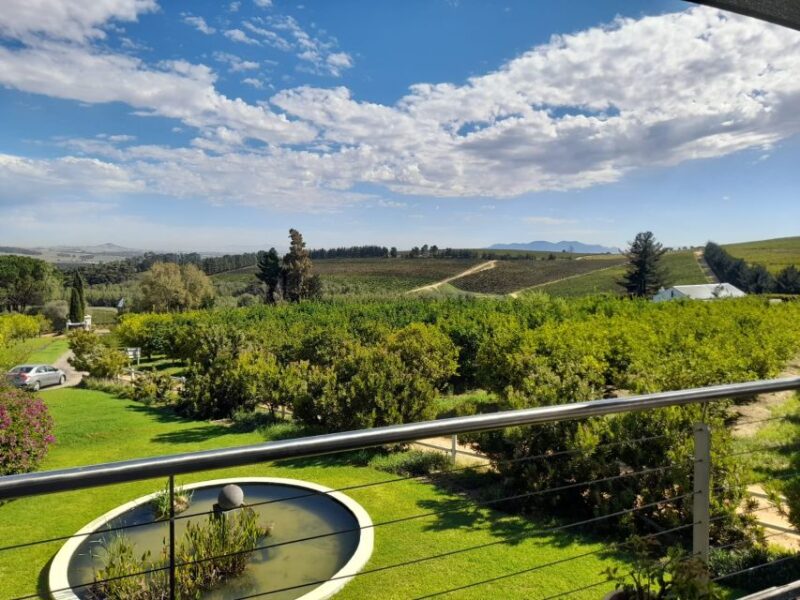 Cape Town: Best of the Cape Private Tour - Wine Experience