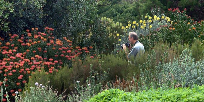 Cape Town Birds & Gardens. Private Tour. - Regional Cuisine and Lunch