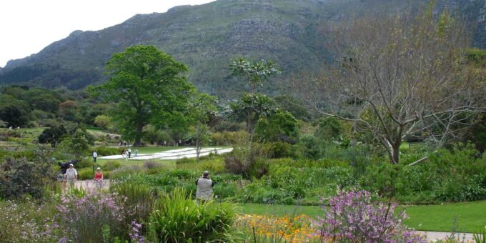 Cape Town Birds & Gardens. Private Tour. - The Sum Up