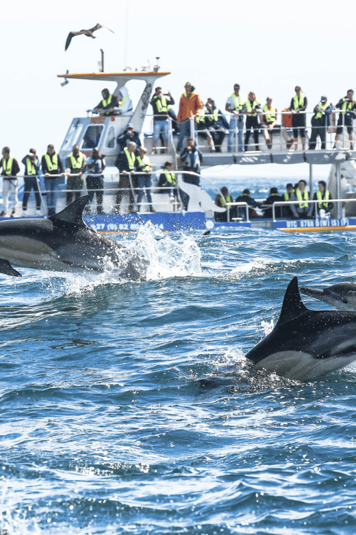 Cape Town: Cape Agulhas and Hermanus Private Day Trip - Good To Know