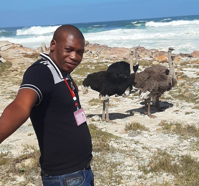 Cape Town: Cape of Good Hope, Penguins and Sightseeing Tour - Itinerary Highlights