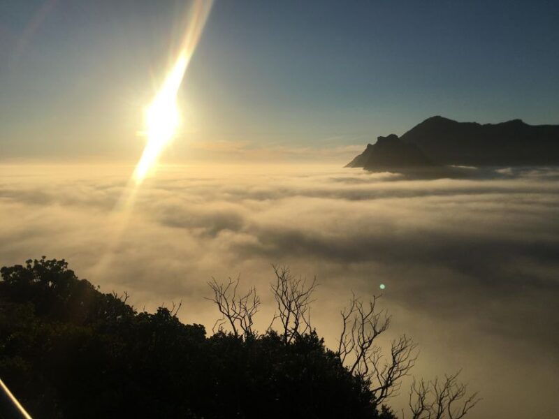 Cape Town: Cape of Good Hope & Penguins Full-Day Guided Tour - Tour Overview and Pricing