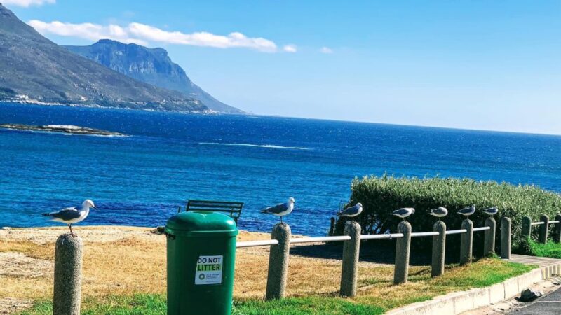 Cape Town: Cape of Good Hope & Penguins Full-Day Guided Tour - Itinerary Highlights