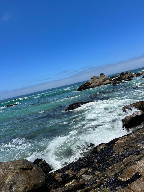 Cape Town: Cape of Good Hope & Penguins Full-Day Guided Tour - Included Services