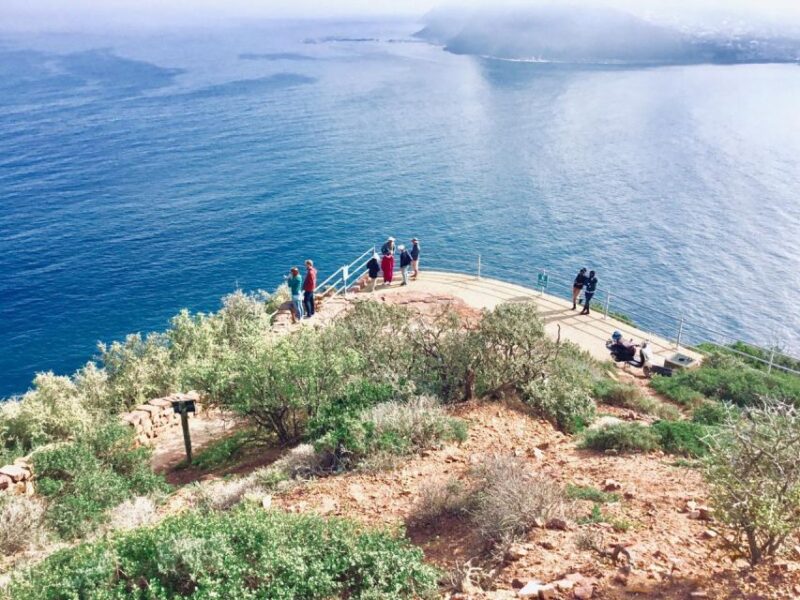 Cape Town: Cape of Good Hope & Penguins Full-Day Guided Tour - Important Information