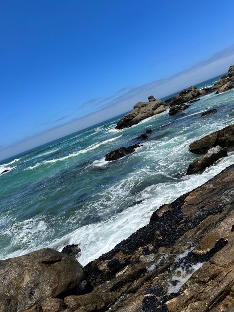 Cape Town: Cape of Good Hope & Penguins Full-Day Guided Tour - Customer Reviews