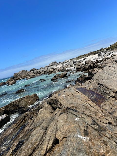 Cape Town: Cape of Good Hope & Penguins Full-Day Guided Tour - Scenic Drives and Stops