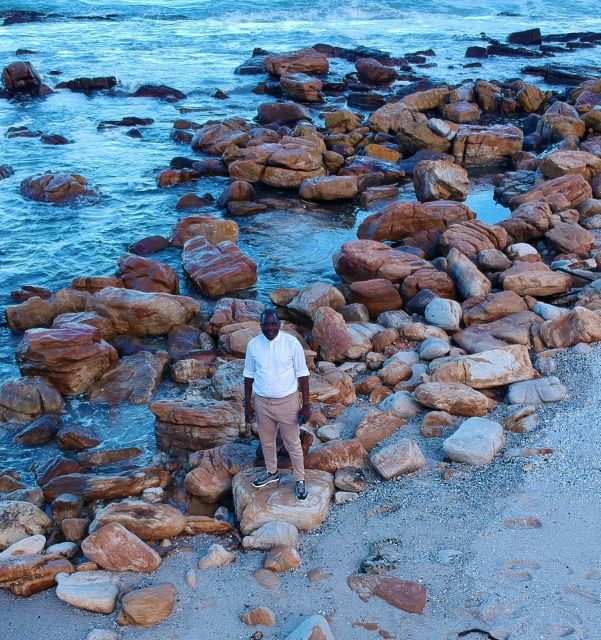 Cape Town: Cape of Good Hope & Penguins Full-Day Guided Tour - Frequently Asked Questions