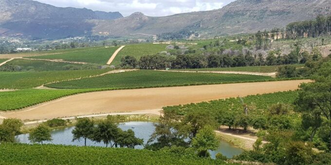 Cape Town: Cape Peninsula and Winelands Private Tour - The Sum Up