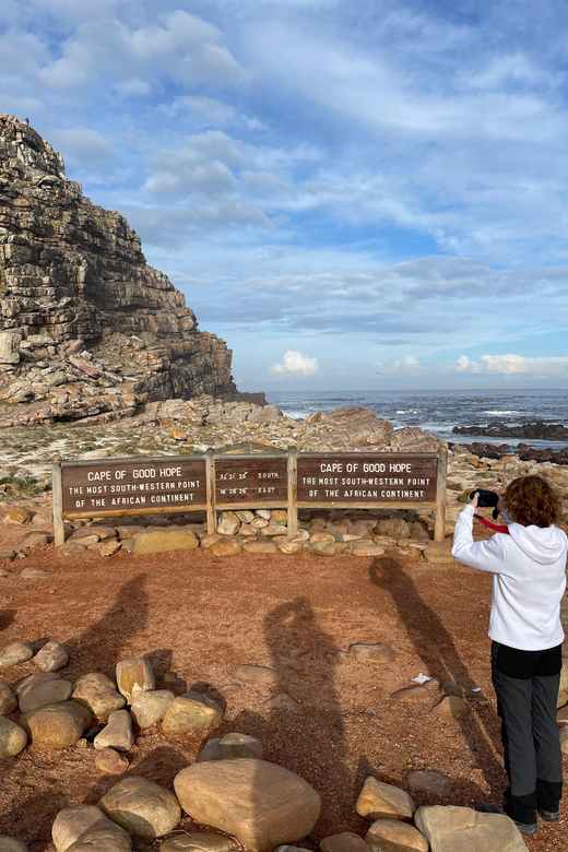 Cape Town: Cape Peninsula & Boulders Beach Private Tour - Experience Highlights