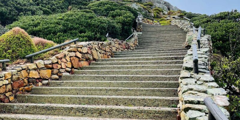 Cape Town: Cape Peninsula & Boulders Beach Private Tour - Inclusions and Exclusions