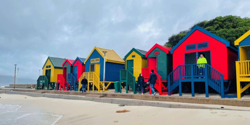 Cape Town: Cape Peninsula & Boulders Beach Private Tour - Pickup and Drop-off Locations