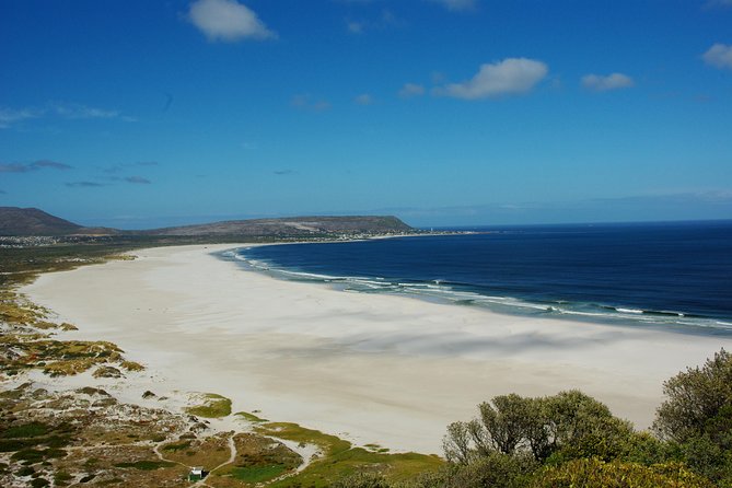 Cape Town: Cape Peninsula Half Day Private Tour - Meeting and Pickup Details