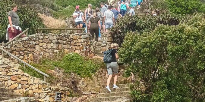 Cape Town: Cape Point and Cape of Good Hope Day Tour - Frequently Asked Questions