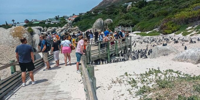 Cape Town: Cape Point and Cape of Good Hope Day Tour - The Sum Up