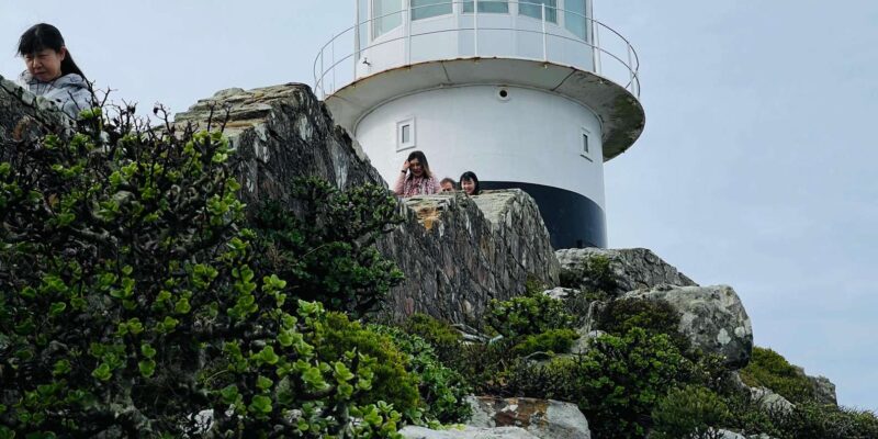 Cape Town: Cape Point & Boulders Beach Private Tour - Exploring Bo-Kaap and Clifton
