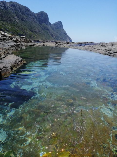 Cape Town: Cape Point Mountain Bike Rental With Route - Good To Know
