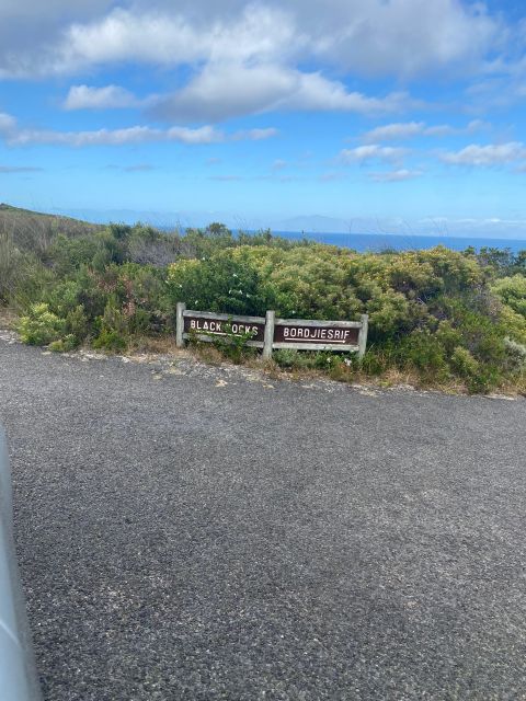 Cape Town: Cape Point Mountain Bike Rental With Route - Included Services and Gear
