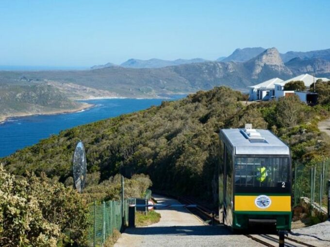 Cape Town: Cape Point, Penguin, & Table Mountain Tour - Customer Feedback