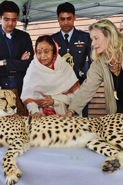 Cape Town: Cheetah Outreach and Winelands Private Tour - Inclusions and Exclusions