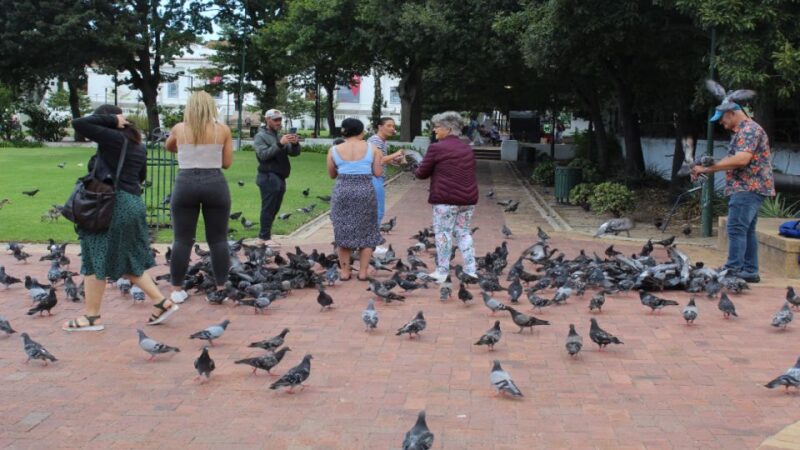 Cape Town City Tour and Table Mountain Plus Tickets - Optional Diamond Museum Visit