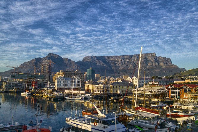Cape Town City Tour Half-Day - Tips for Travelers