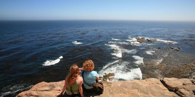 Cape Town: Explore Hidden Gems at Cape of Good Hope Day Tour - Hike or Drive to Cape Point