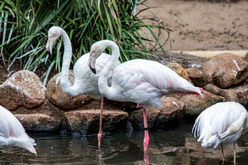 Cape Town for Children: Family Tour - Itinerary Highlights