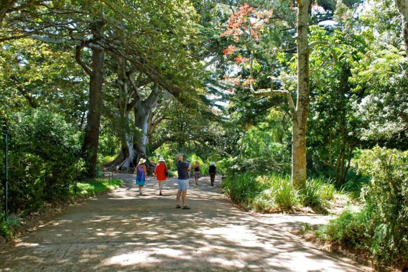 Cape Town for Children: Family Tour - World of Birds Sanctuary