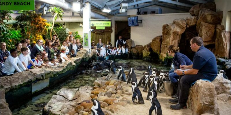 Cape Town for Children: Family Tour - The Planetarium Experience
